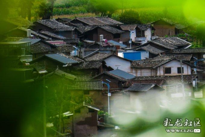 治世能臣张居正，他是怎样被发现和培养起来的？